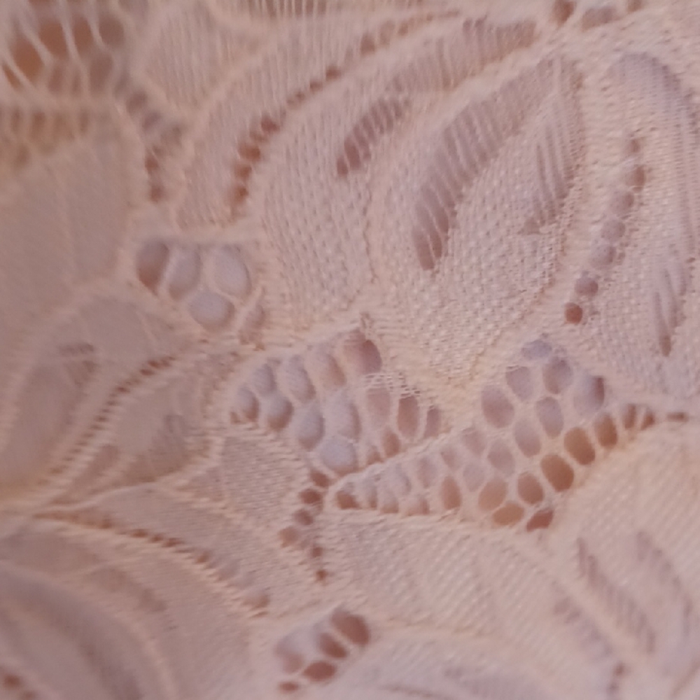 BonWorth Light Pink Lace Top And Matching Soft Capri Pants - Picture 5 of 15